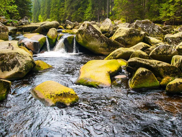 Wilderness of Vydra river — Stock Photo, Image