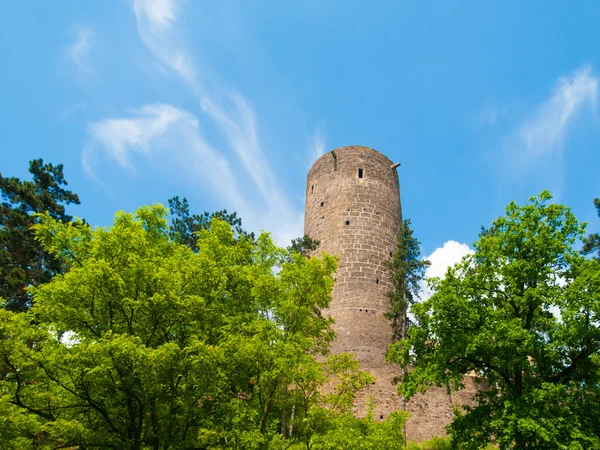 Zřícenina hradu žebrák — Stock fotografie