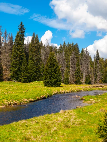 Mountain river on sunny day — Stock Photo, Image
