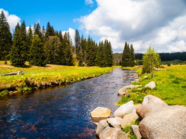 Rivière de montagne par jour ensoleillé — Photo