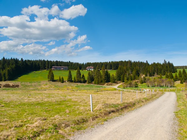 Paisagem rural perto de Horska Kvilda em Sumava — Fotografia de Stock