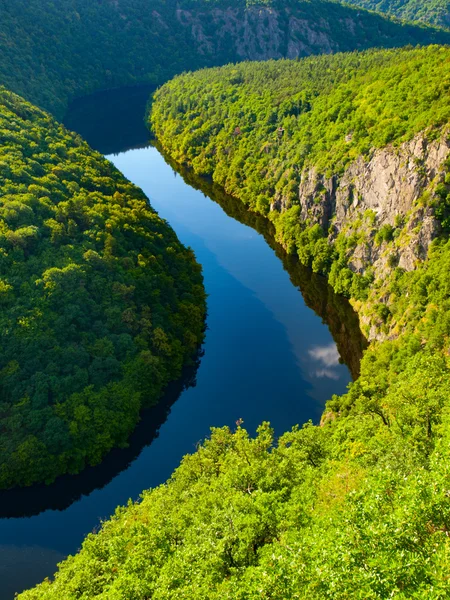 Vltava floden skog ringlar sig i Tjeckien — Stockfoto