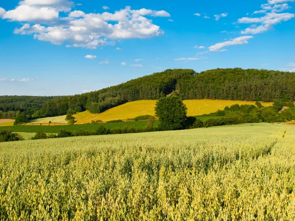 Летний холмистый пейзаж с зеленым полем, лесами, голубым небом и белыми облаками — стоковое фото