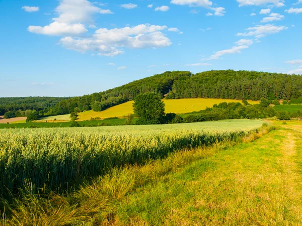 Летний холмистый пейзаж с зеленым полем, лесами, голубым небом и белыми облаками — стоковое фото