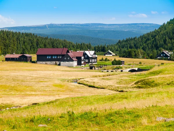 Jizerka village in summer time — Stock Photo, Image