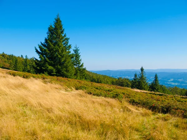 Paysage de montagne d'été avec ciel bleu clair — Photo