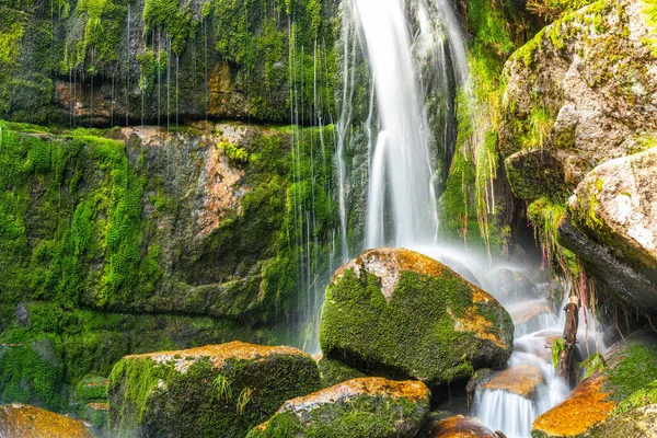 Wildwaldwasserfall — Stockfoto