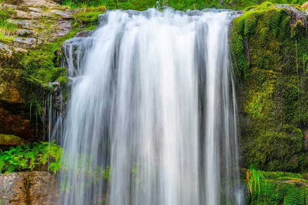 Wildwaldwasserfall — Stockfoto