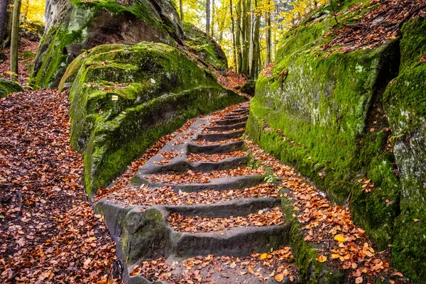 Sandstone staircase in autumnal forest — Stock Photo, Image