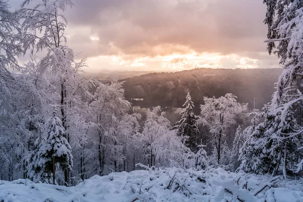 Paisaje del bosque de invierno — Foto de Stock