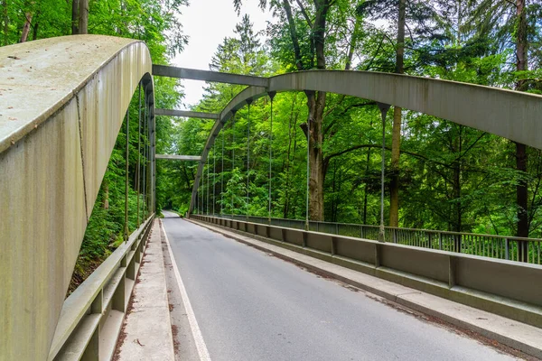 Modern bro i skogen — Stockfoto