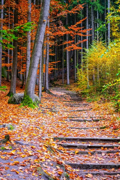 Sandstone staircase in autumnal forest — Stock Photo, Image