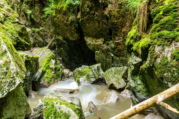 Forest karst sinkhole — Stock Photo, Image