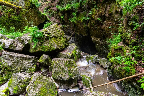 Buraco de cárstico florestal — Fotografia de Stock