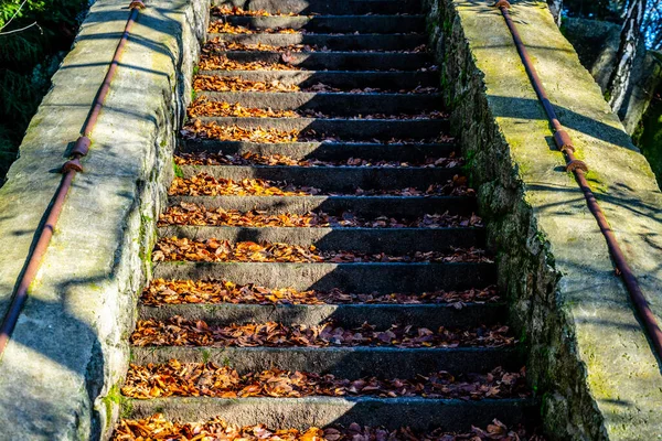 Vecchia scala in pietra in autunno — Foto Stock