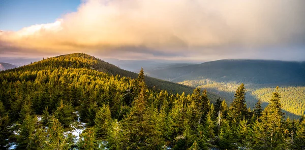 Лесной хребет Гигантских гор — стоковое фото