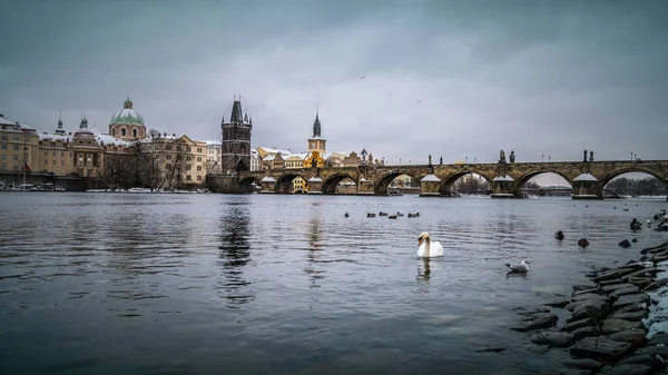 Karlův most a Vltava v zimě — Stock fotografie