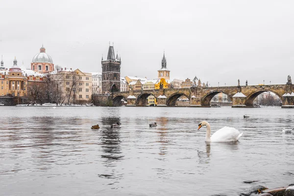 Karlův most a Vltava v zimě — Stock fotografie