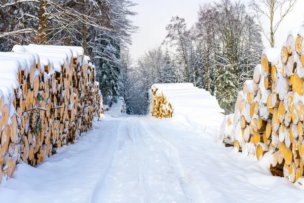 Stacked wooden logs in winter — Stock Photo, Image