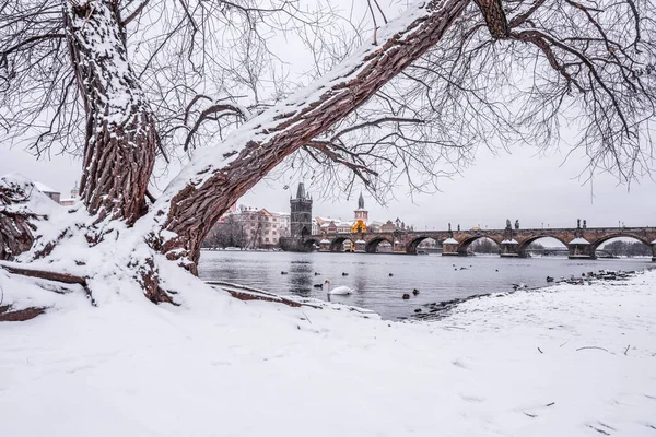 Pont Charles et rivière Vltava en hiver — Photo