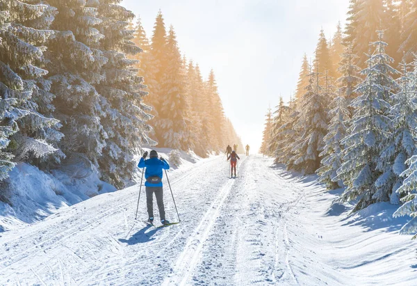 冬の自然の中でクロスカントリースキー — ストック写真