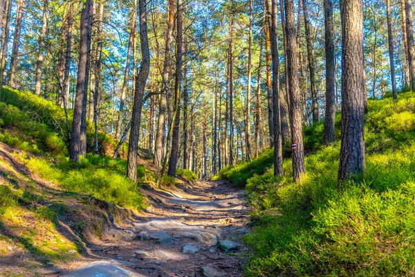 Trilha turística rochosa na primavera — Fotografia de Stock