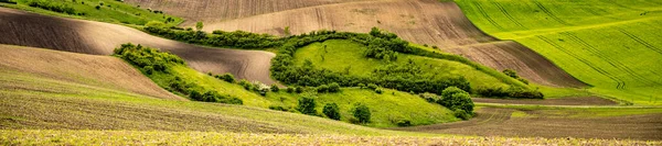 Golvend landbouwgebied van Moravisch Toscane — Stockfoto