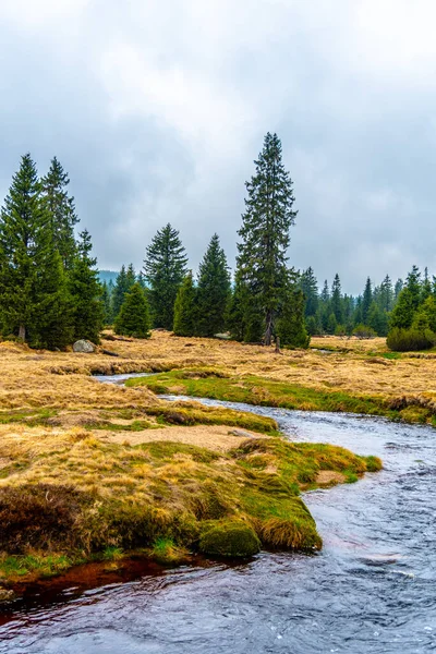 Mountain grassland landscape with river — Stock Photo, Image