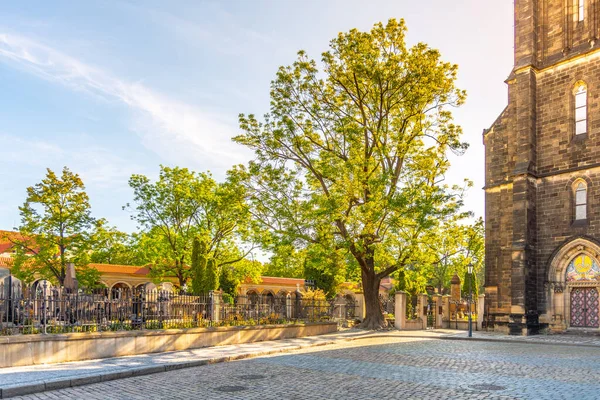 Slavínský hřbitov na Vyšehradě v Praze — Stock fotografie