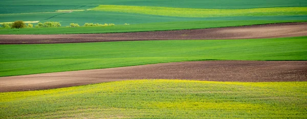 Welliges landwirtschaftliches Feld der mährischen Toskana — Stockfoto