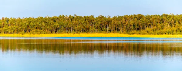 Pine forest panorama reflected in the lake — Stock Photo, Image