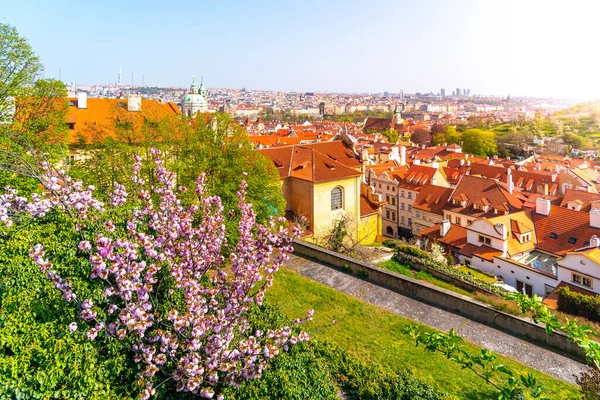 晴れた春の日にプラハ — ストック写真