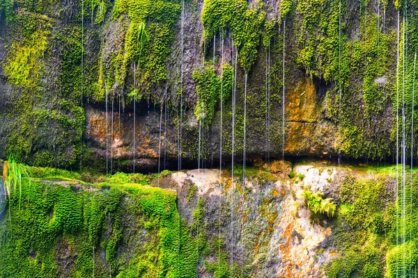 苔むした花崗岩の岩と野生の森の滝 — ストック写真