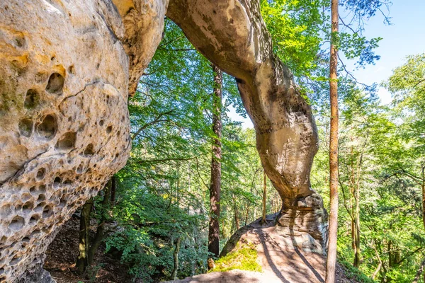 Unique sandstone arch in pine forest — Stock Photo, Image
