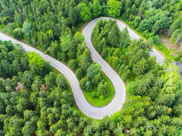 Väg orpentin i skogen ovanifrån — Stockfoto