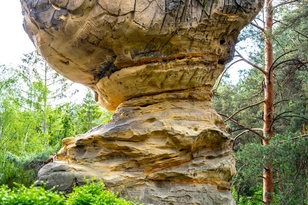 Unica formazione rocciosa di funghi arenaria — Foto Stock