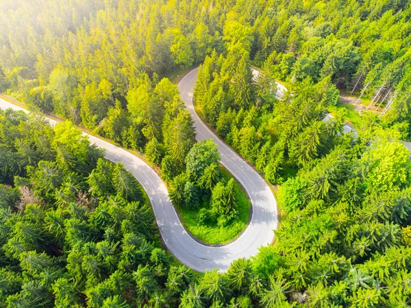 Väg orpentin i skogen ovanifrån — Stockfoto