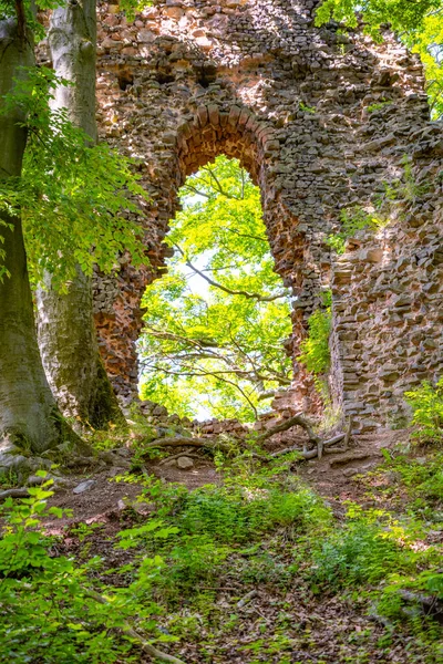 Kamenná brána zříceniny lesního hradu — Stock fotografie