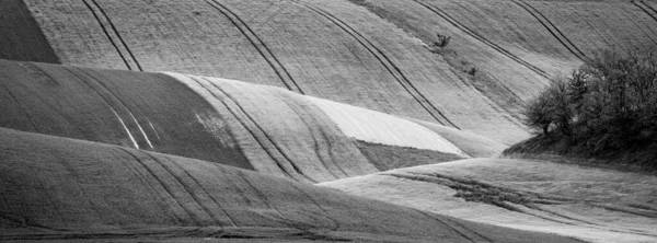 Campo agrícola ondulado da Toscana da Morávia — Fotografia de Stock