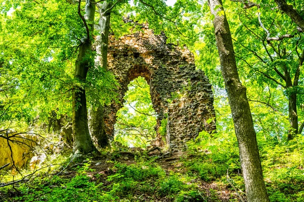 Porta di pietra di rovine di castello di foresta — Foto Stock