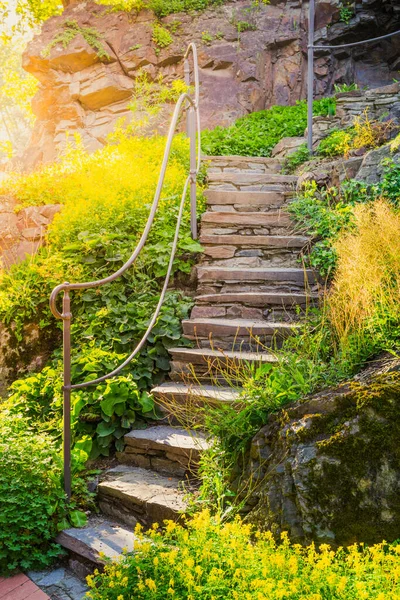 Summer in the beautiful natural park — Stock Photo, Image