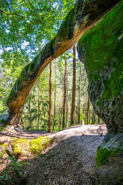 Arco di arenaria unico nella pineta — Foto Stock