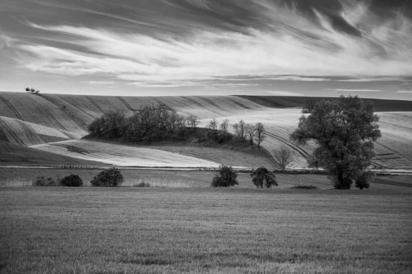Wavy agricultural field of Moravian Tuscany — Stock Photo, Image