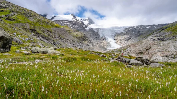 有棉花草甸和冰川的山区景观 — 图库照片