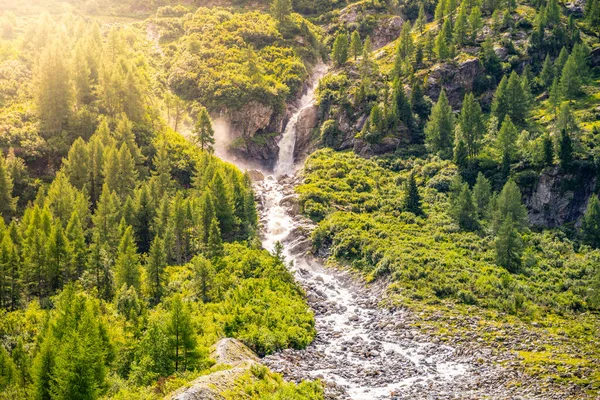 Dziki wodospad alpejski na górskim potoku — Zdjęcie stockowe