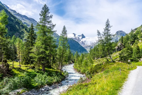 Idylické alpské údolí s horou Grossvenediger — Stock fotografie