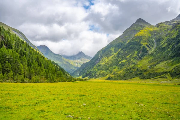 Groene weide in alpine vallei, — Stockfoto