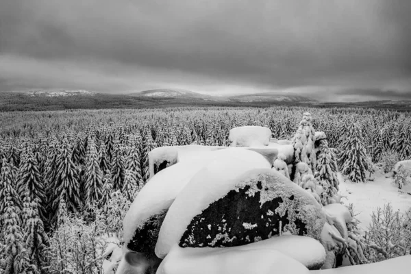 Paesaggio forestale invernale e masso di granito — Foto Stock