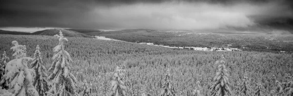 Paesaggio forestale invernale in montagna — Foto Stock