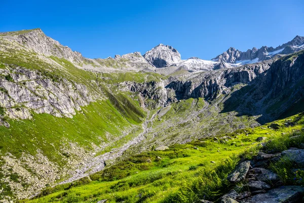 Picos alpinos com derretimento geleira no dia ensolarado de verão — Fotografia de Stock